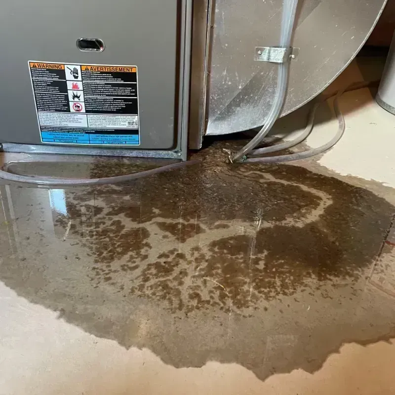 Appliance Leak Cleanup in Johnson County, IL